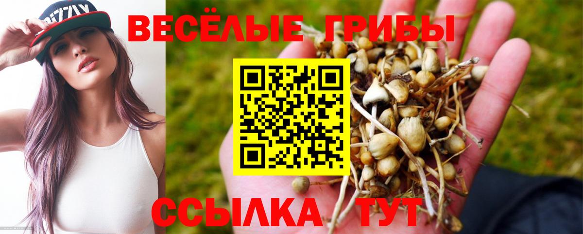Можга  Псилоцибиновые грибы мухоморы  Вход с VPN 